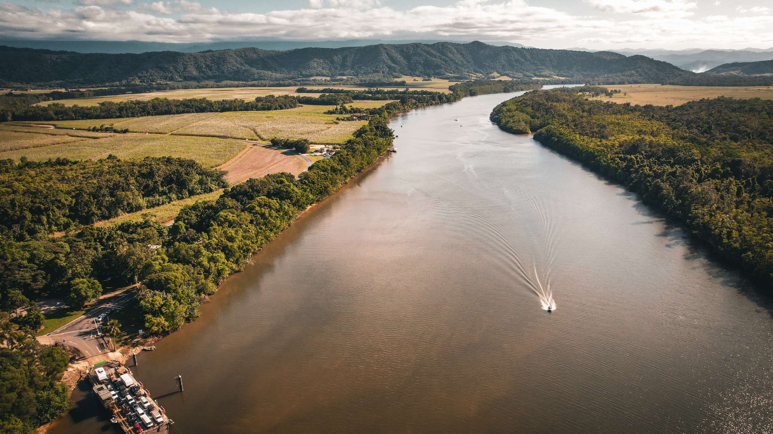 daintree river crocodile guide