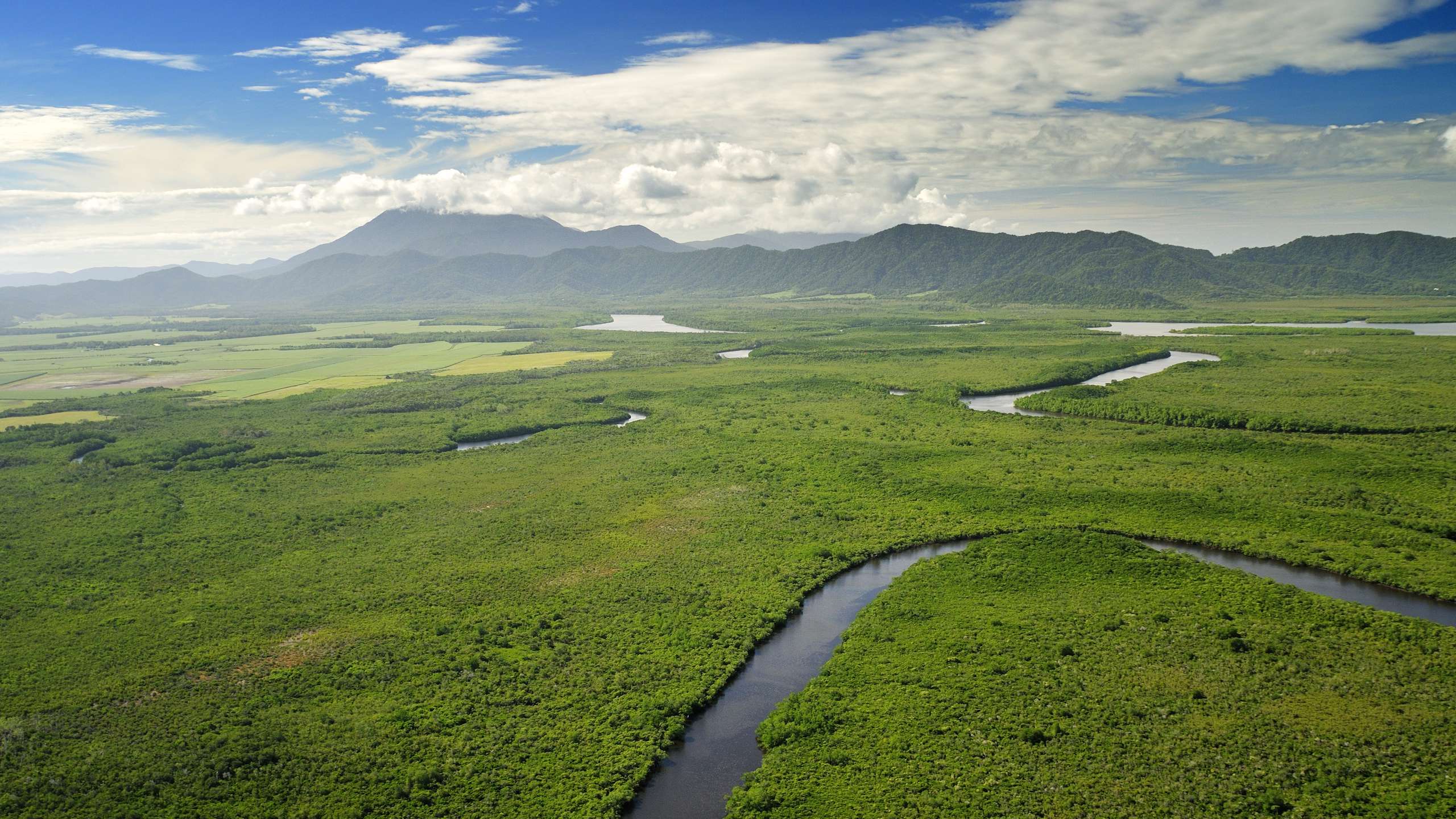 daintree crocodile tours